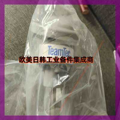 议价询价!焚烧炉热电偶TEAMTEC PART.Nr:12501  B.Nr:150379