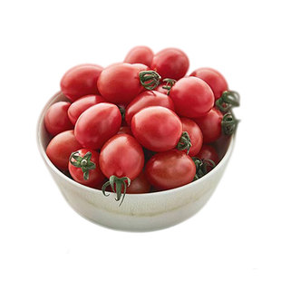 釜山88F1樱桃小番茄种子脆甜香浓高糖高产圣女果春秋阳台盆栽蔬菜