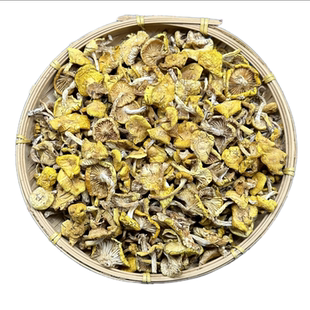 小黄蘑东北野生小黄蘑500g松树油蘑野生蘑菇干货小鸡炖蘑菇