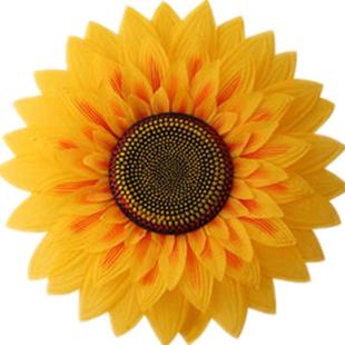 向日葵道具手拿花幼儿园儿童表演舞蹈太阳花运动会入场式创意合唱