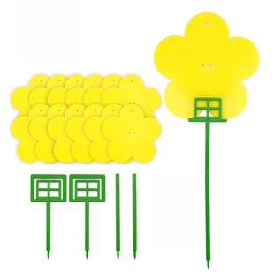 粘虫板小飞虫粘板黄板双面去除室内蚊小黑飞虫贴纸诱捕器神器果蝇