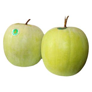 香味水果冬瓜种籽高产厚肉迷你冬瓜种子早熟圆形东瓜种春秋蔬菜