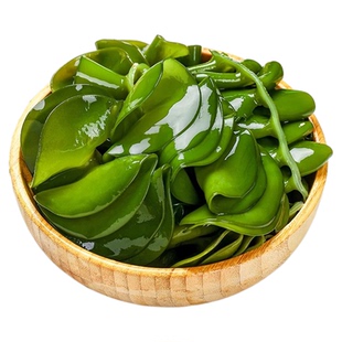 新鲜海木耳盐渍裙带菜梗耳朵海灵芝干货麻辣烫火锅食材商用批发