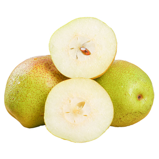 当季新鲜水果梨子脆甜红香酥梨9斤整箱薄皮香梨特价一整箱包邮