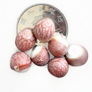 成熟特级野生肇庆芡实肇实500克 茨实鸡头米 可搭配淮山药薏米