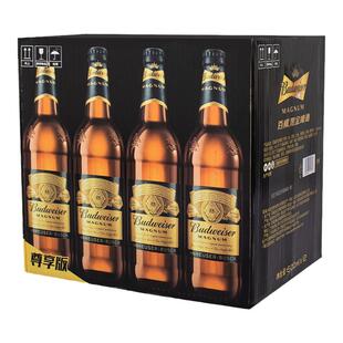 精酿百威黑金啤酒600ml玻璃瓶装整箱黑金百威啤酒500毫升易拉罐