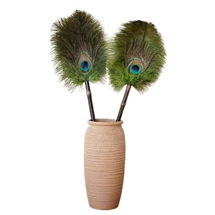 鸵鸟孔雀毛鸡毛掸子除尘高档除尘掸家用清洁扫灰神器缝隙灰尘打扫