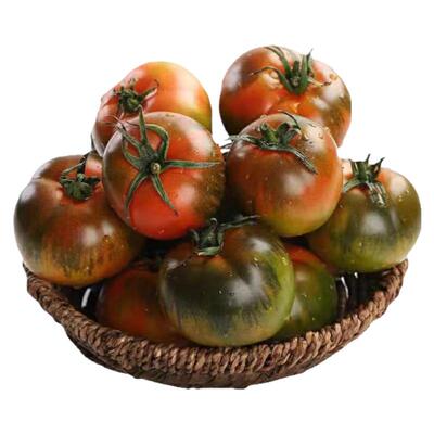 铁皮草莓柿子番茄秧苗大西红柿种籽四季春秋超甜水番茄苗秧种子孑