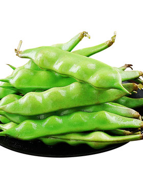 现摘！正宗东北油豆角！精品挑选