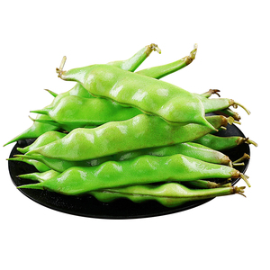 现摘！正宗东北油豆角！精品挑选