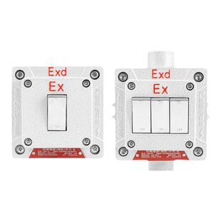 防爆墙壁开关220V10A明装暗装86型单联双联三联双控翘板照明开关