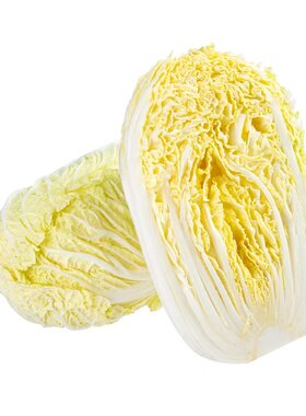 白菜蔬菜种子四季阳台种植