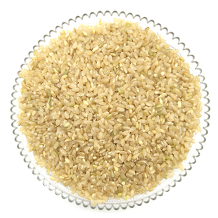 糙米 农家糙米苏北粗粮胚芽米泗洪大米粳米发芽米散装2500克包邮