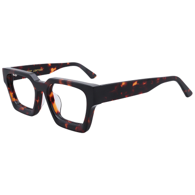 MOSCOTLEMTOSH欧美玳瑁色眼镜框