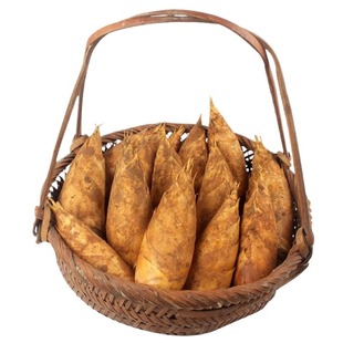 冬笋新鲜【顺丰到家】 浙江发货现挖两头尖黄泥农家精品野生竹笋