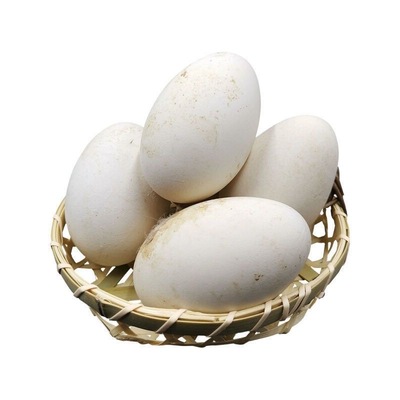 12枚230-260克保真正宗狮头大鹅蛋新鲜农家散养土鹅蛋孕妇顺丰