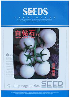 西红柿蔬菜四季番茄种子