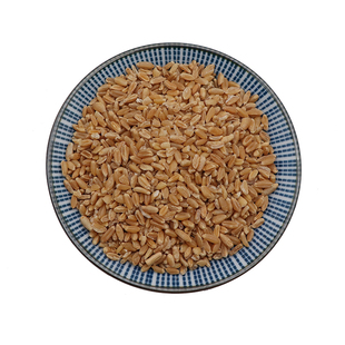 浮小麦中药材浮麦子止汗盗汗小麦瘪子浮水麦瘪小麦天然包邮500g克