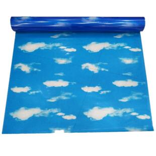 蓝天白云阳光房天窗遮阳遮光玻璃贴纸窗户防晒透光不透明磨砂贴膜