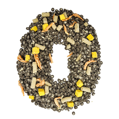 英拿全阶段中国美毛靓毛布偶