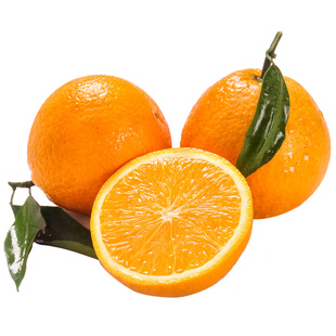 三峡伦晚春橙新鲜时令大果10水果包邮纯甜橙赣爱南媛秭归果冻橙子