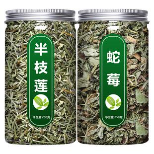 半枝莲蛇莓中药材正品野生新鲜新货半支莲和果草干中草药茶的功效