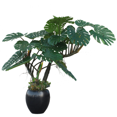 大型龟背金龙落地塑料树仿真植物