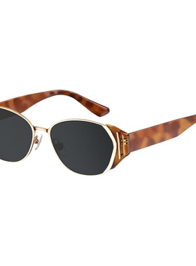 2025新款高级感太阳镜防紫外线