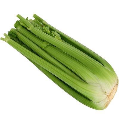 美邻惠享家新鲜西芹现割现发