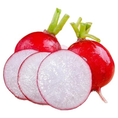 蔬菜种子樱桃大全红白水果小萝卜