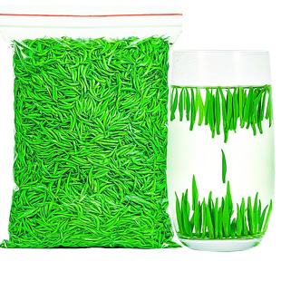 雀舌茶叶2025新茶明前特级5A绿茶贵州湄潭毛尖春茶嫩芽500g散装