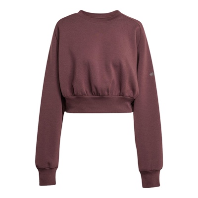 Adidas/阿迪达斯正品2025秋季款女士日常圆领套头短款卫衣JW5072