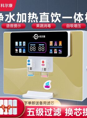 净水器家用直饮加热制冷一体机RO反渗透井水自吸厨房壁挂式饮水机