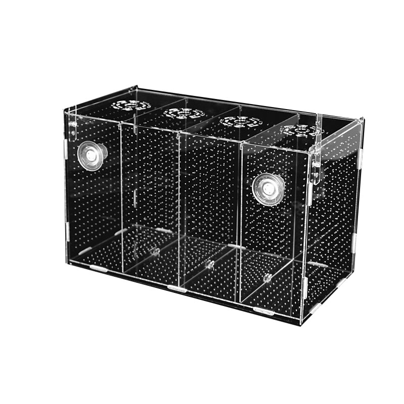 隔离盒繁殖饲养箱鱼苗