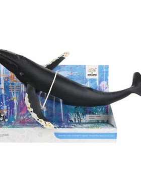 正品新凯纳海洋动物软胶充棉玩具