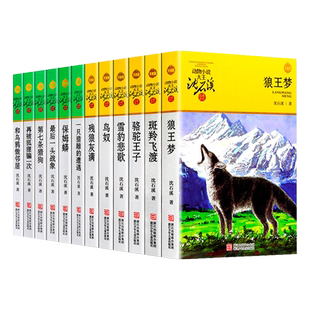 沈石溪动物小说全集品藏书系升级版全36册狼王梦斑羚飞渡第七条猎狗最后一头战象雪豹悲歌混血豺王虎娃金叶子沈石溪的动物小说大王
