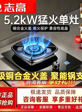 新国标志高天然气燃气灶单双灶台5.2KW火力家用一级能效节能