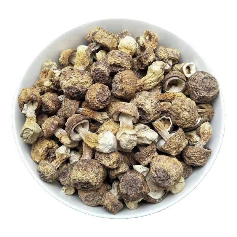 姬松茸干货500g袋装 云南特产精选巴西菇非特级松茸菇68一斤包邮