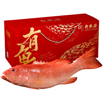 深海东星斑礼盒商务礼赠伴手礼