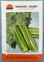 Семена сельдерея Вентура 10G Оригинальные подлинные американские семена сельдерея
