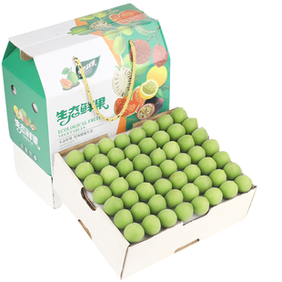 特大果诏安青梅16斤鲜果泡酒专用新鲜水果当季现摘青皮脆梅子包邮