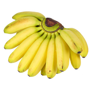 现摘海南小米蕉新鲜香蕉banana5斤整香芭蕉自然熟非苹果蕉皇帝蕉