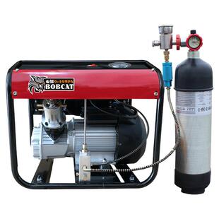 山猫双缸高压充气泵潜水水冷高压气泵30mpa电动高压打气机泵40mpa