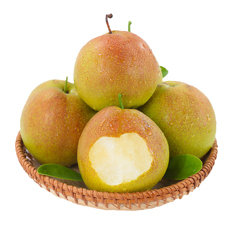 山西玉露香梨当季现摘正宗脆甜多汁梨子酥梨香梨新鲜水果整箱包邮