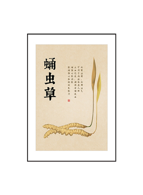 中医馆文化墙草药养生装饰画