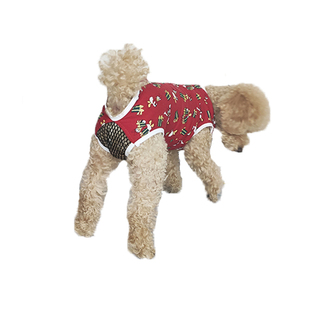 狗狗纯棉生理裤可大小便网兜连体月经裤卫生裤防骚扰避孕四脚衣服