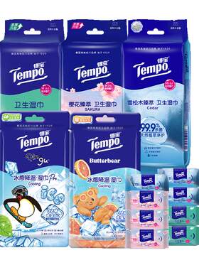 Tempo/得宝迷你便携湿巾湿巾
