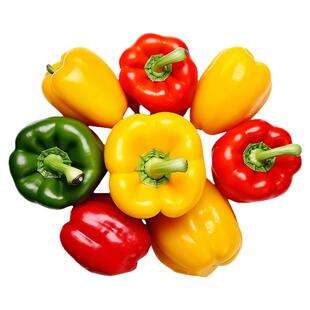 五彩甜椒辣椒种子大全生吃微甜不辣水果辣椒种籽阳台盆栽蔬菜种孑