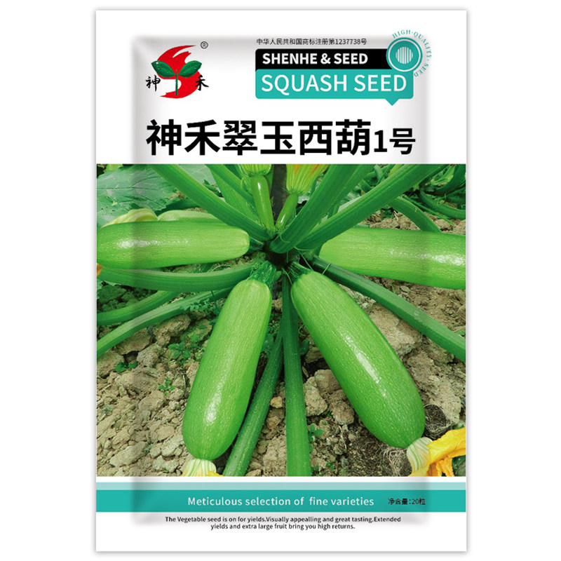 西葫芦种子蔬菜种子角瓜绞瓜西葫芦种籽北瓜高产西葫芦籽西葫芦瓜