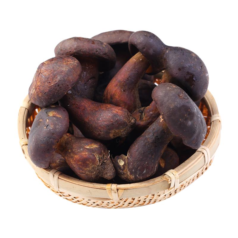 云南特产野生黑牛肝菌500g